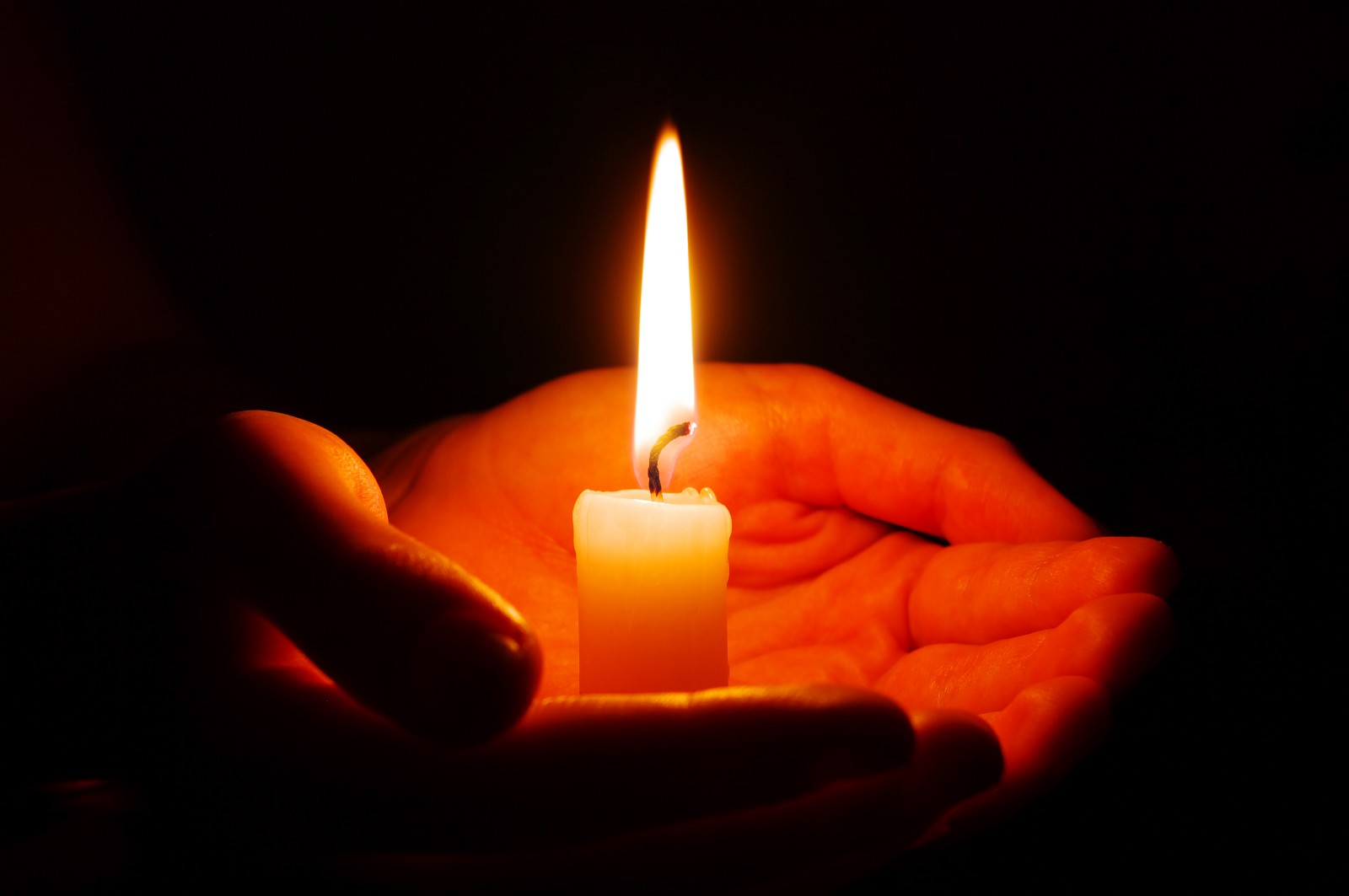 bereavement funeral directors